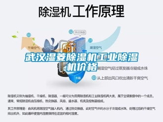 常見問題武漢濕菱除濕機(jī)工業(yè)除濕機(jī)價(jià)格