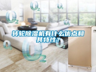 知識百科轉(zhuǎn)輪除濕機(jī)有什么優(yōu)點(diǎn)和其特性？