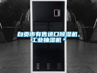 常見問題自貢市有售進口除濕機、工業(yè)抽濕機＊