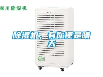 常見問題除濕機，有你便是晴天