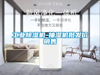 常見問題工業(yè)除濕機-抽濕機批發(fā)價銷售