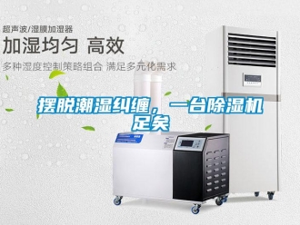 常見問題擺脫潮濕糾纏，一臺除濕機足矣