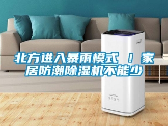 企業新聞北方進入暴雨模式 ！家居防潮除濕機不能少