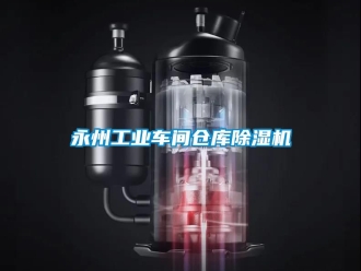 常見問題永州工業車間倉庫除濕機