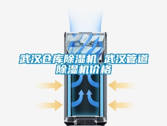 企業(yè)新聞武漢倉(cāng)庫(kù)除濕機(jī) 武漢管道除濕機(jī)價(jià)格