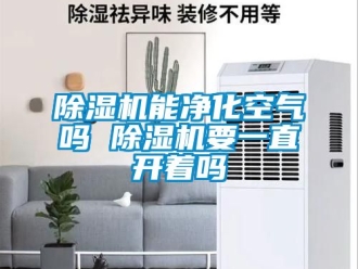 行業新聞除濕機能凈化空氣嗎 除濕機要一直開著嗎