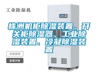常見問題株洲機柜除濕裝置、開關柜除濕器、工業除濕裝置、冷凝除濕裝置