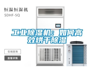常見問題工業除濕機：如何高效烘干除濕