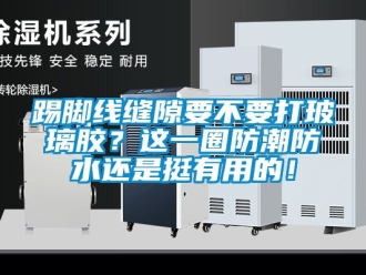常見問題踢腳線縫隙要不要打玻璃膠？這一圈防潮防水還是挺有用的！