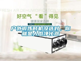 行業(yè)新聞戶外鍛煉時(shí)機(jī)沒(méi)選對(duì)，你就是人肉凈化器