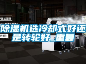 常見問題除濕機選冷卻式好還是轉(zhuǎn)輪好_重復(fù)