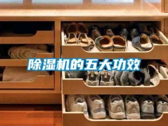 企業(yè)新聞除濕機的五大功效