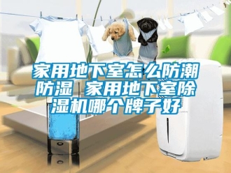 常見問題家用地下室怎么防潮防濕 家用地下室除濕機哪個牌子好