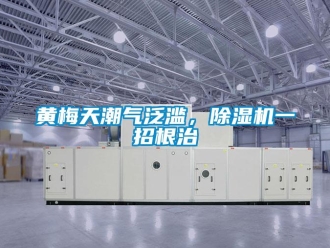 行業(yè)新聞黃梅天潮氣泛濫，除濕機(jī)一招根治