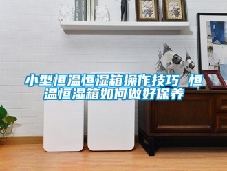 知識百科小型恒溫恒濕箱操作技巧 恒溫恒濕箱如何做好保養