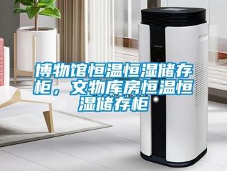 常見問題博物館恒溫恒濕儲存柜，文物庫房恒溫恒濕儲存柜