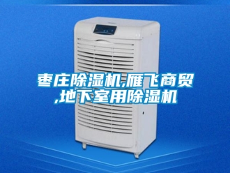 行業新聞棗莊除濕機,雁飛商貿,地下室用除濕機
