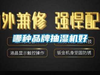 企業新聞哪種品牌抽濕機好