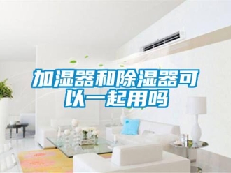 行業新聞加濕器和除濕器可以一起用嗎