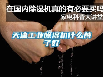 常見問題天津工業除濕機什么牌子好
