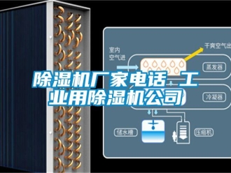 企業新聞除濕機廠家電話 工業用除濕機公司