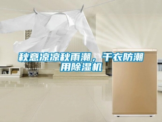 行業(yè)新聞秋意涼涼秋雨潮，干衣防潮用除濕機(jī)