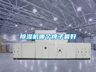 行業(yè)新聞除濕機(jī)哪個牌子最好