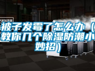 企業(yè)新聞被子發(fā)霉了怎么辦（教你幾個除濕防潮小妙招）