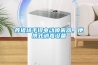 養豬場手提電動噴霧器，便攜式消毒設備