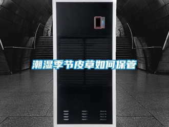 常見問題潮濕季節皮草如何保管