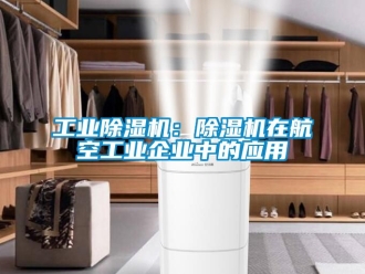常見問題工業除濕機：除濕機在航空工業企業中的應用