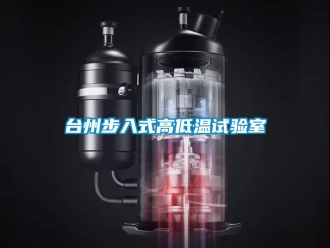 常見問題臺州步入式高低溫試驗(yàn)室