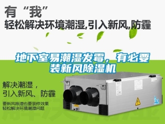 常見問題地下室易潮濕發霉，有必要裝新風除濕機