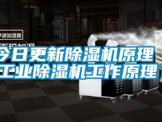 常見問題今日更新除濕機(jī)原理（工業(yè)除濕機(jī)工作原理）
