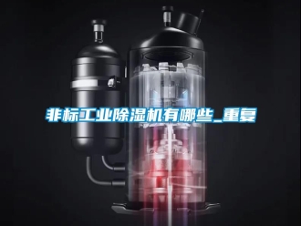 常見問題非標工業(yè)除濕機有哪些_重復