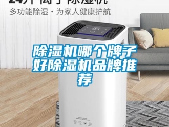 企業新聞除濕機哪個牌子好除濕機品牌推薦