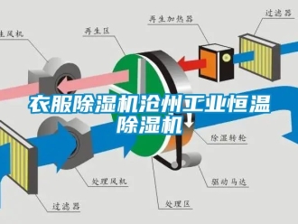 常見問題衣服除濕機(jī)滄州工業(yè)恒溫除濕機(jī)