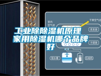 常見問題工業除除濕機原理 家用除濕機哪個品牌好