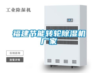 企業(yè)新聞福建節(jié)能轉(zhuǎn)輪除濕機廠家