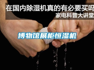 知識百科博物館展柜恒濕機