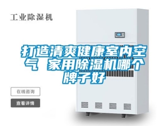 常見問題打造清爽健康室內空氣 家用除濕機哪個牌子好