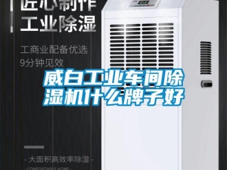 常見問題威白工業車間除濕機什么牌子好