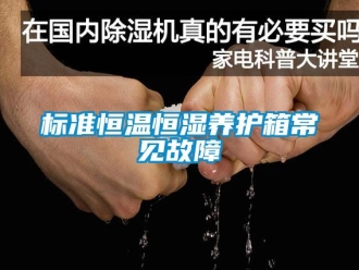 常見問題標準恒溫恒濕養(yǎng)護箱常見故障