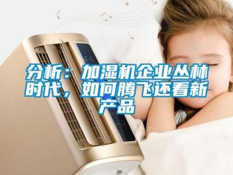 常見問題分析：加濕機企業叢林時代，如何騰飛還看新產品