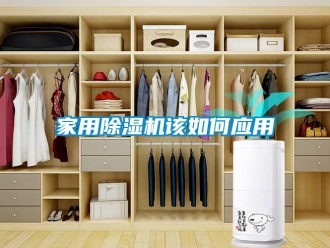 常見問題家用除濕機(jī)該如何應(yīng)用