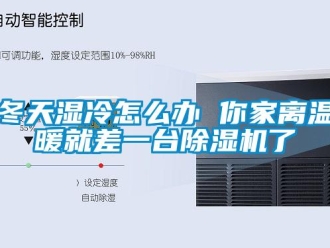 行業(yè)新聞冬天濕冷怎么辦 你家離溫暖就差一臺(tái)除濕機(jī)了