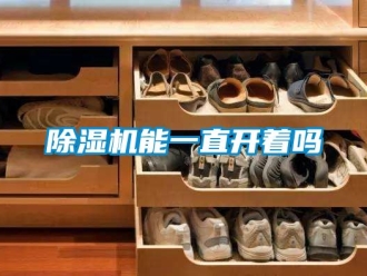行業新聞除濕機能一直開著嗎