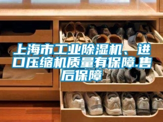 常見問題上海市工業除濕機、進口壓縮機質量有保障.售后保障