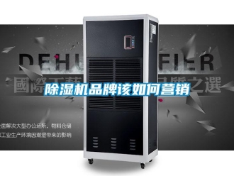 常見(jiàn)問(wèn)題除濕機(jī)品牌該如何營(yíng)銷