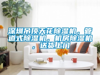 行業新聞深圳吊頂天花除濕機，管道式除濕機，機房除濕機，送貨上門